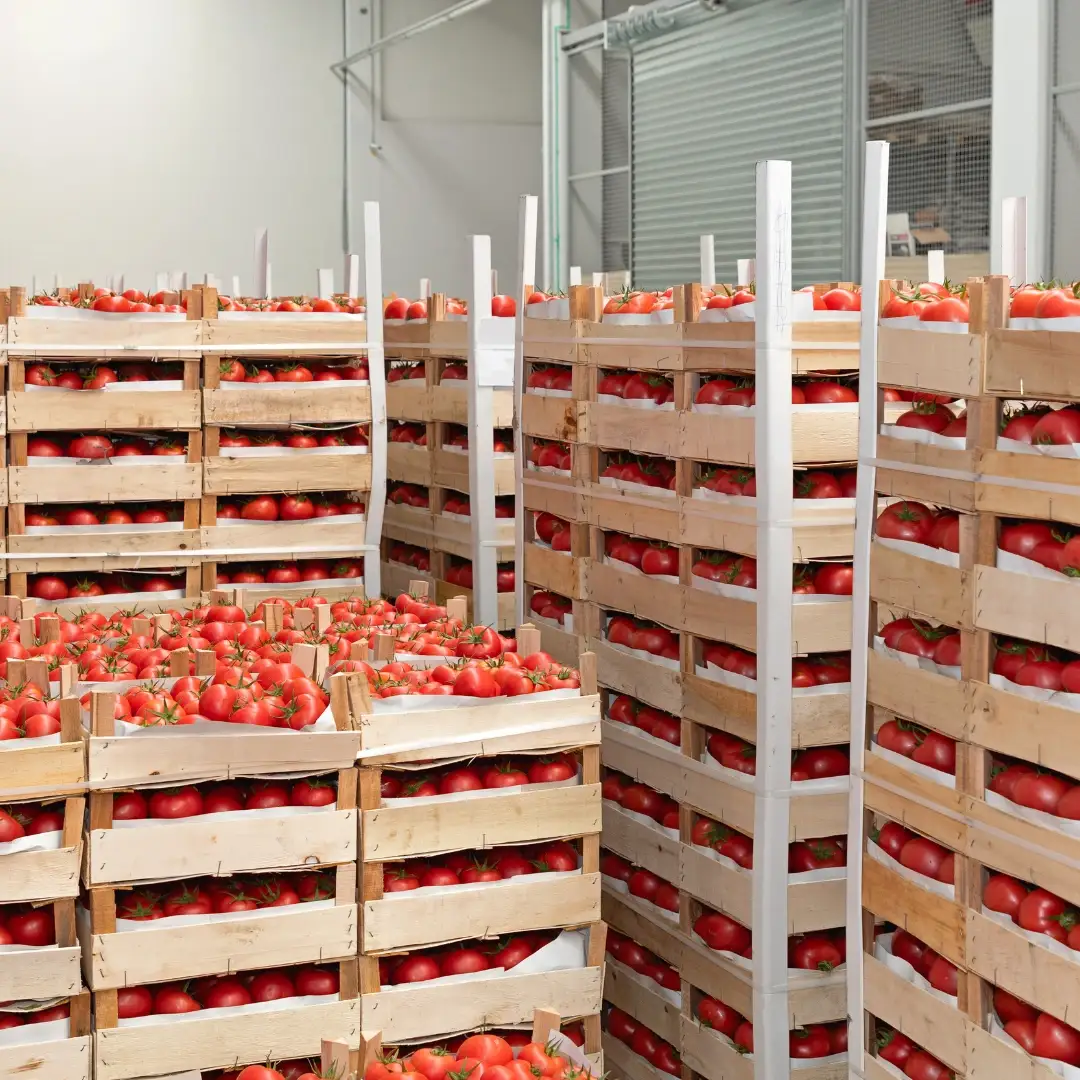 Imported Fruits