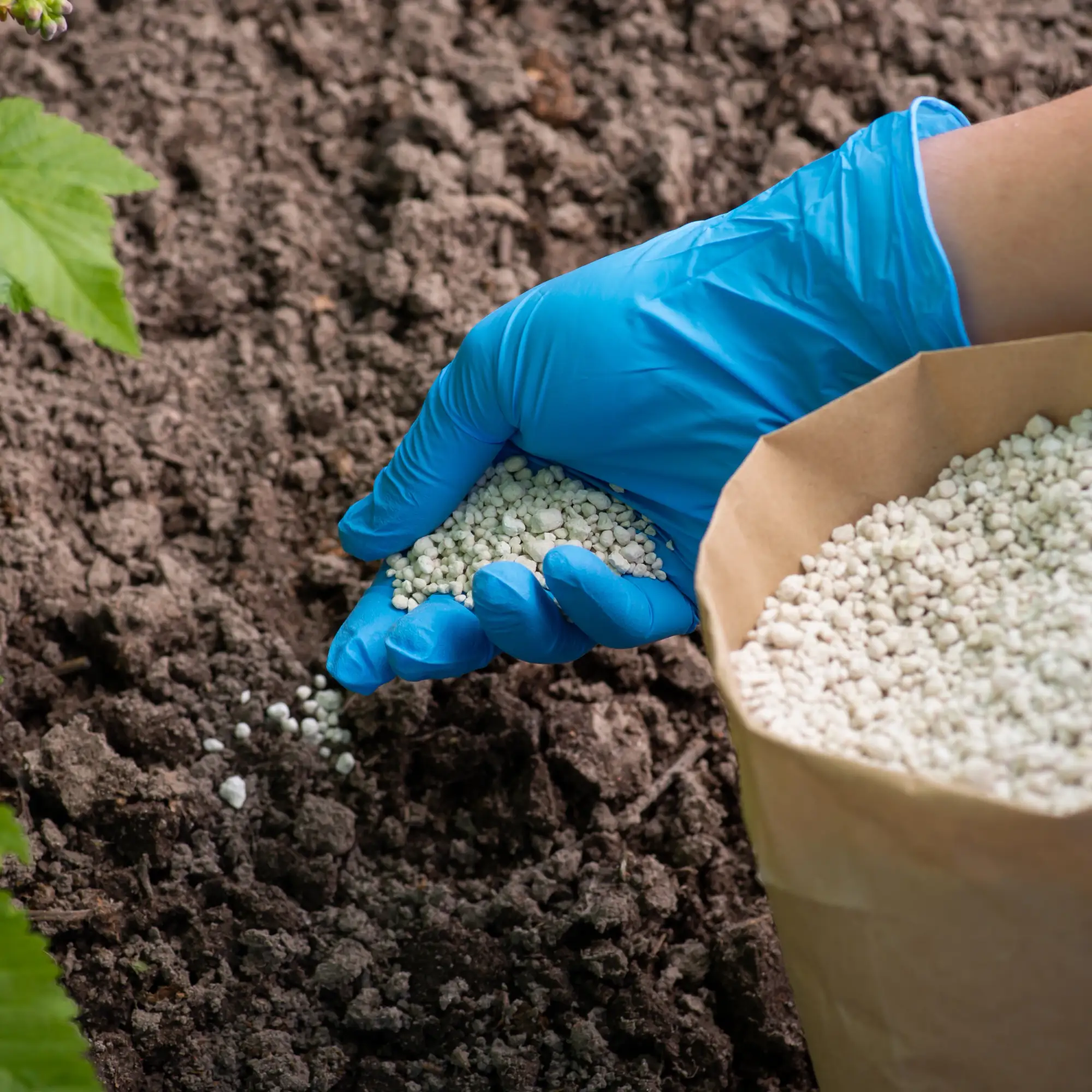 Natural Fertilizers