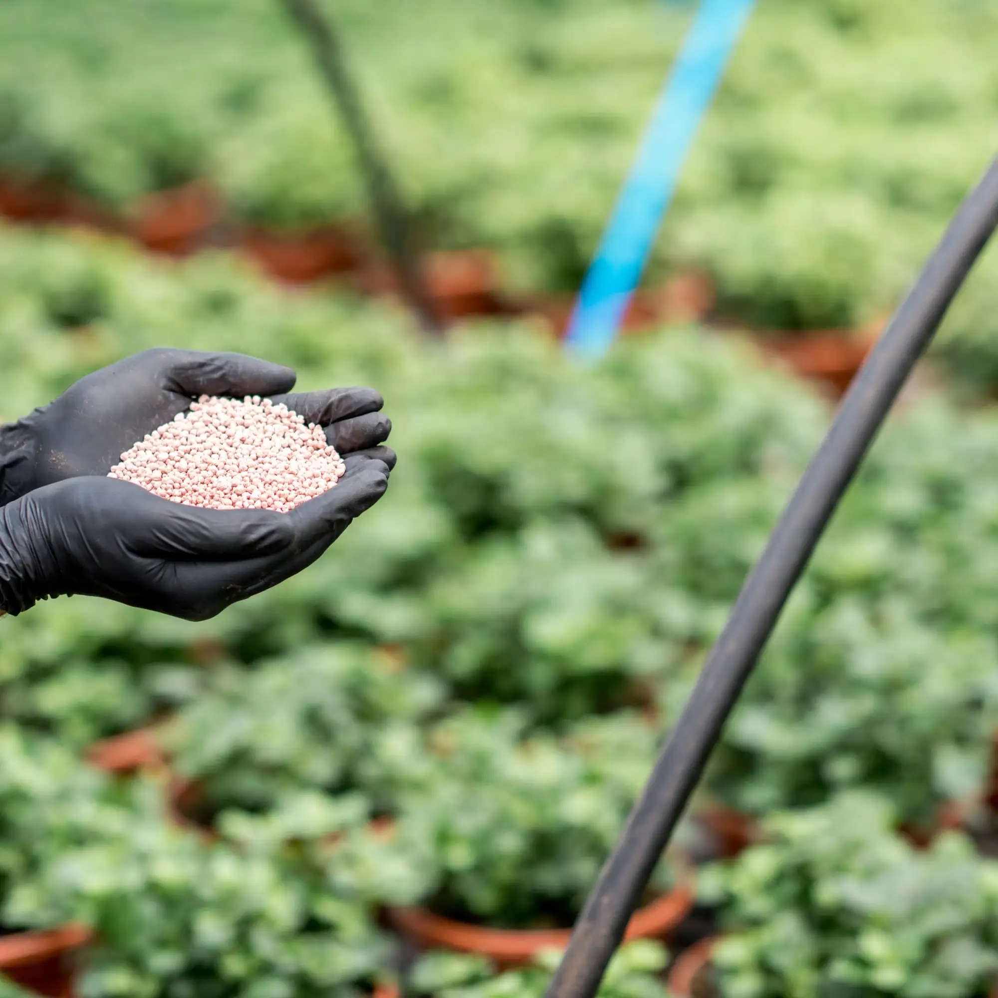 Mineral Based Fertilizers